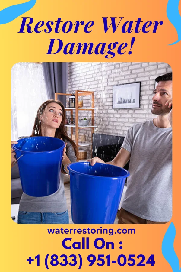 water restoration Trusted Drying LLC Ridgebury