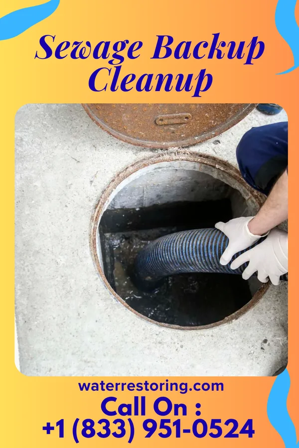 Sewage Backup Cleanup in Ridgebury, CT