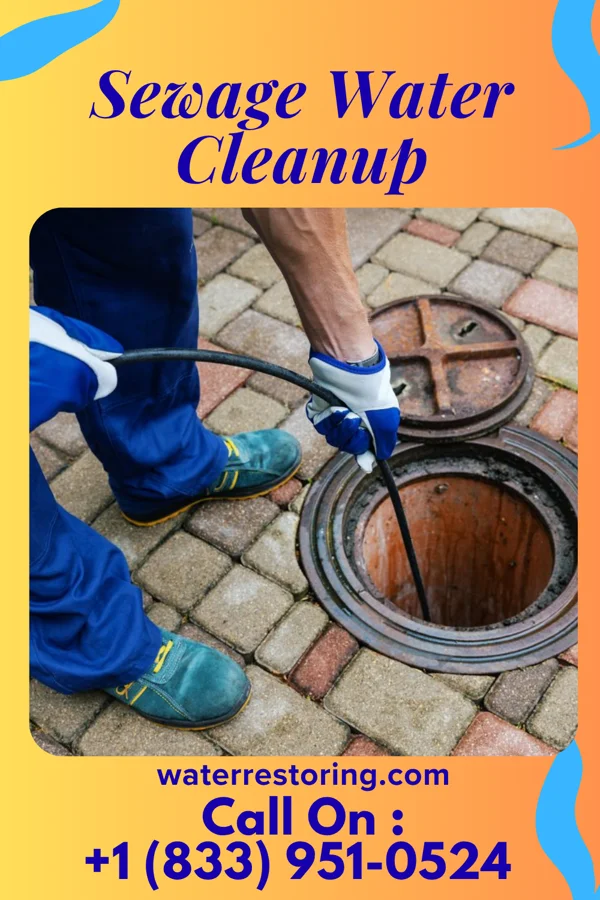 Sewage Water Cleanup in Ridgebury, CT